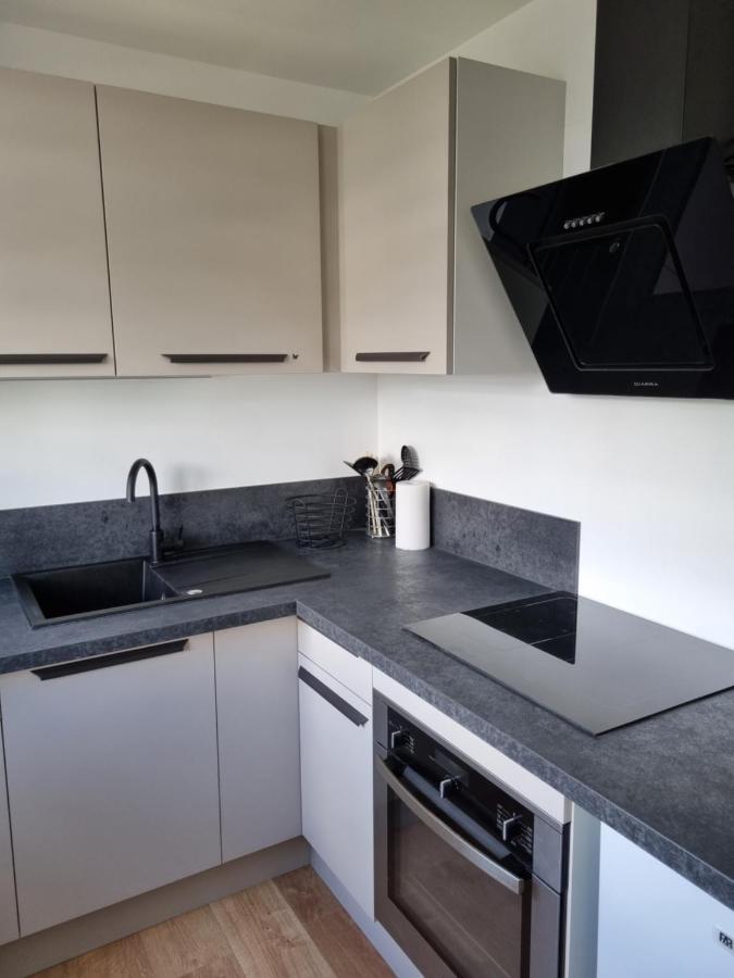 Location Saisonniere Appartement Situe A Saumur Eksteriør billede